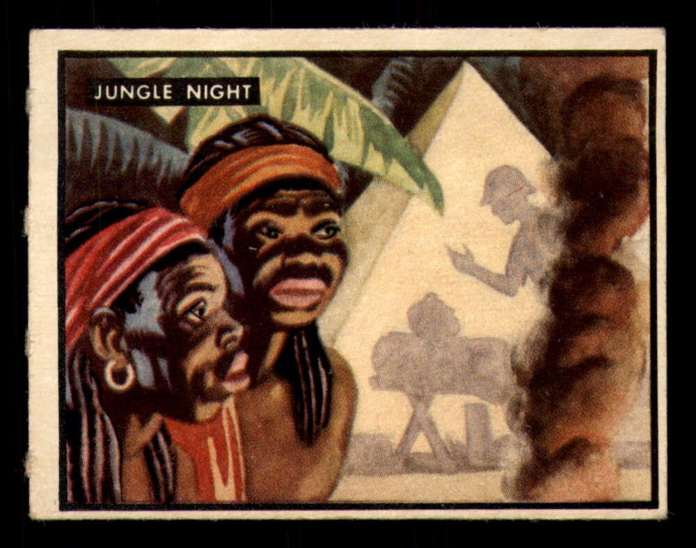 44 Jungle Night